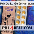 Prix De La Gelée Kamagra 41